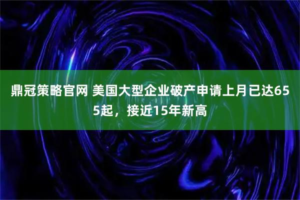 鼎冠策略官网 美国大型企业破产申请上月已达655起，接近15年新高