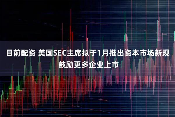 目前配资 美国SEC主席拟于1月推出资本市场新规 鼓励更多企业上市