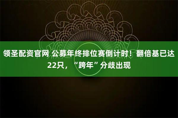 领圣配资官网 公募年终排位赛倒计时！翻倍基已达22只，“跨年”分歧出现
