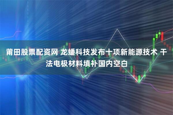 莆田股票配资网 龙蟠科技发布十项新能源技术 干法电极材料填补国内空白